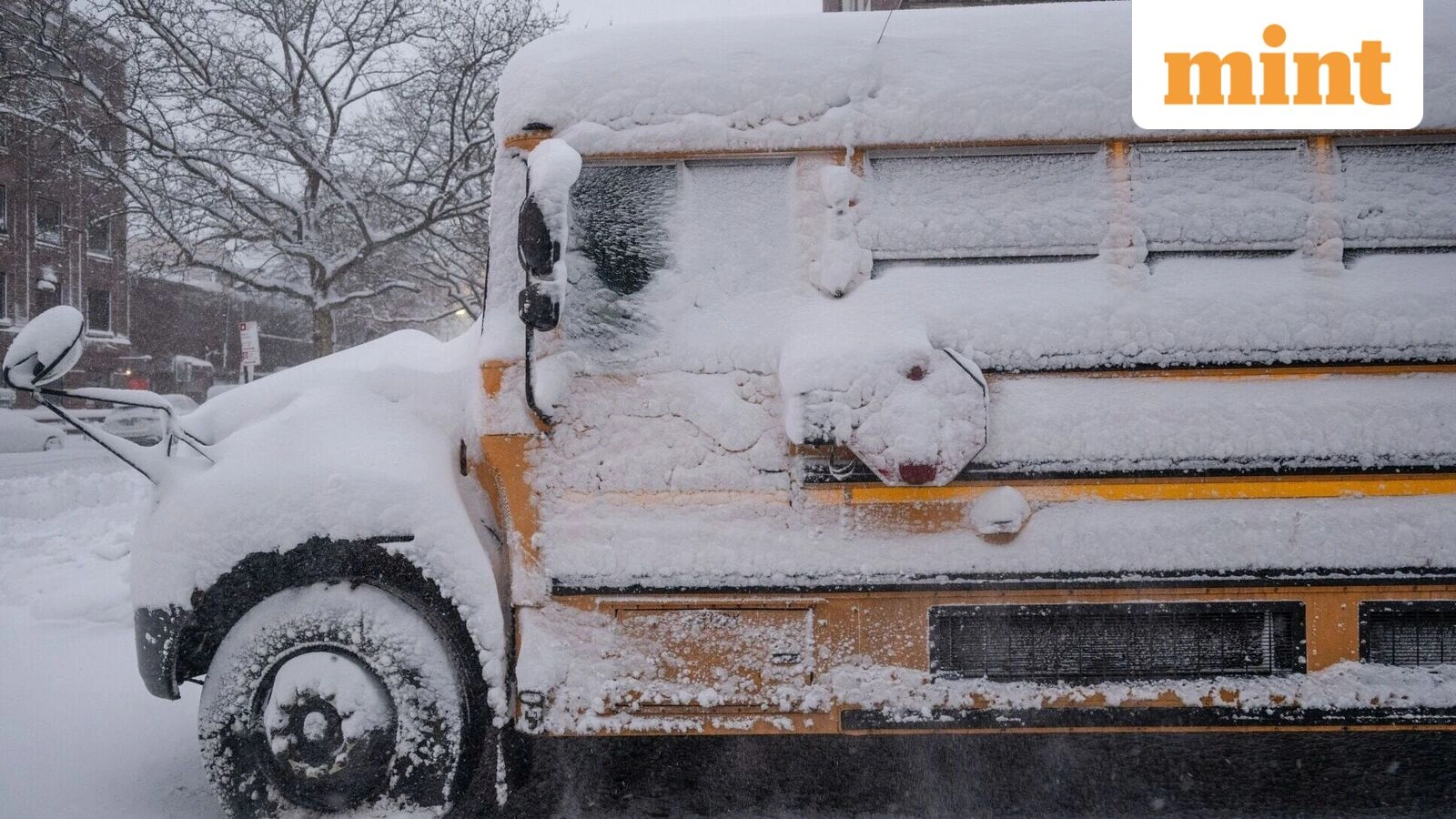 Winter Storm Hernando Hits US East Coast With Record Snow, Power ...